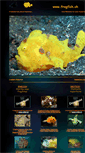 Mobile Screenshot of frogfish.ch